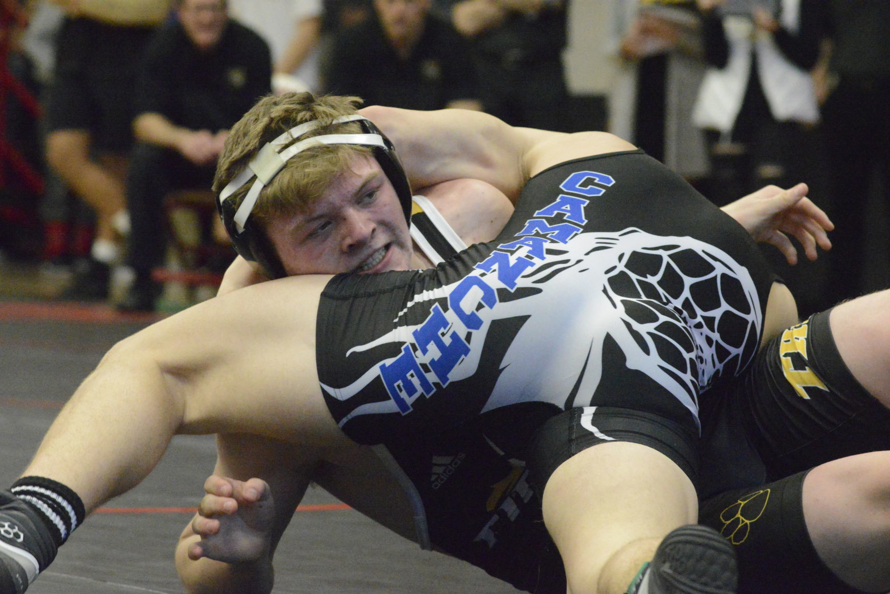 iowa sect 2a wr 1466.JPG